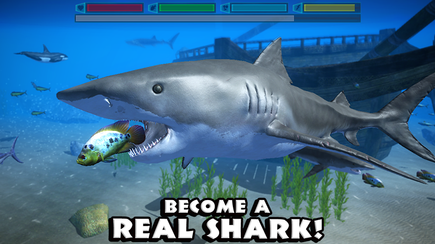 究极鲨鱼模拟好玩吗 究极鲨鱼模拟玩法简介_0