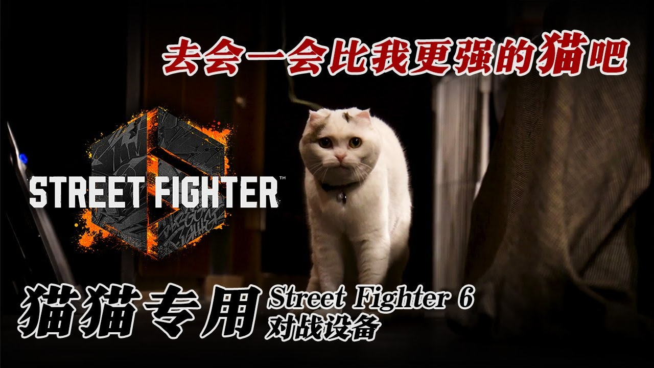 愚人节整活：卡普空推出猫猫专用街霸6对战设备_0
